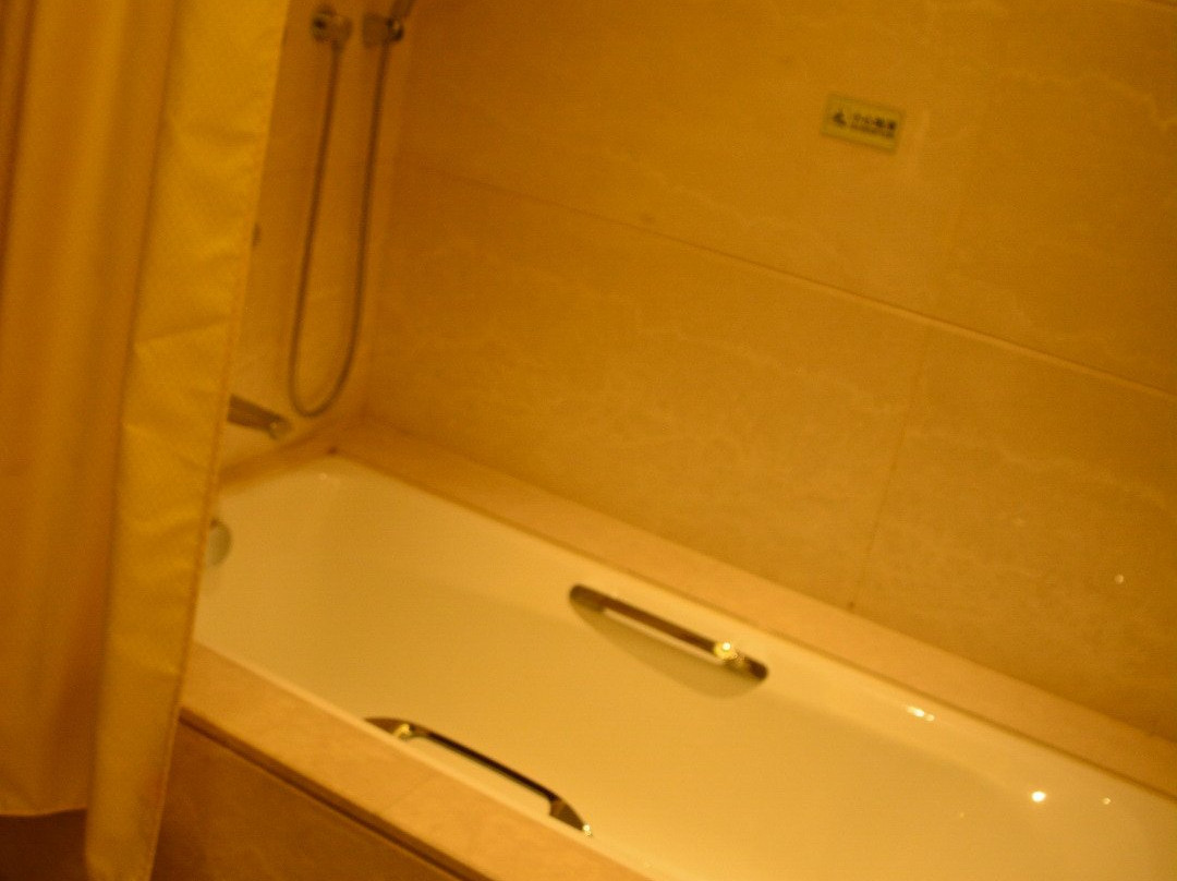 喀什天缘国际酒店迎宾大道店主图