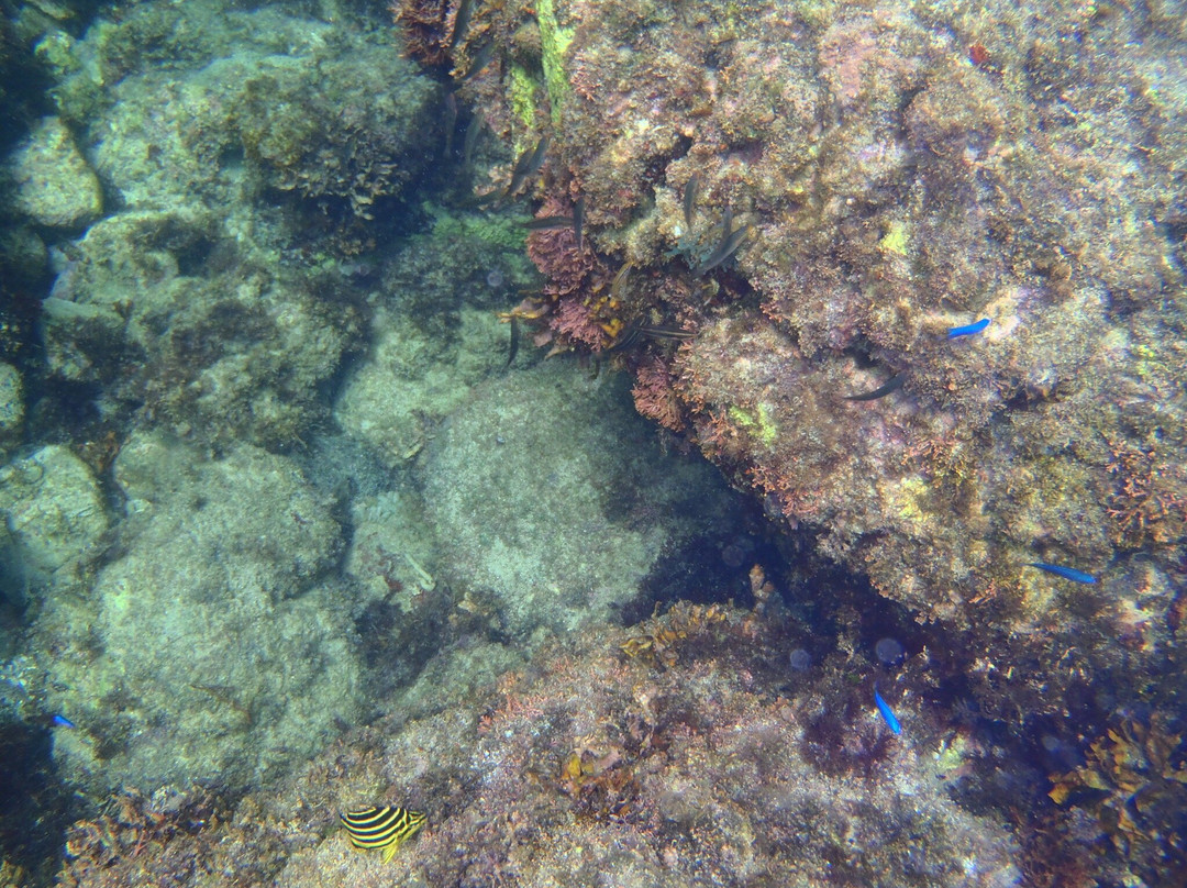 Naka no Ura Beach-式根岛必去景点