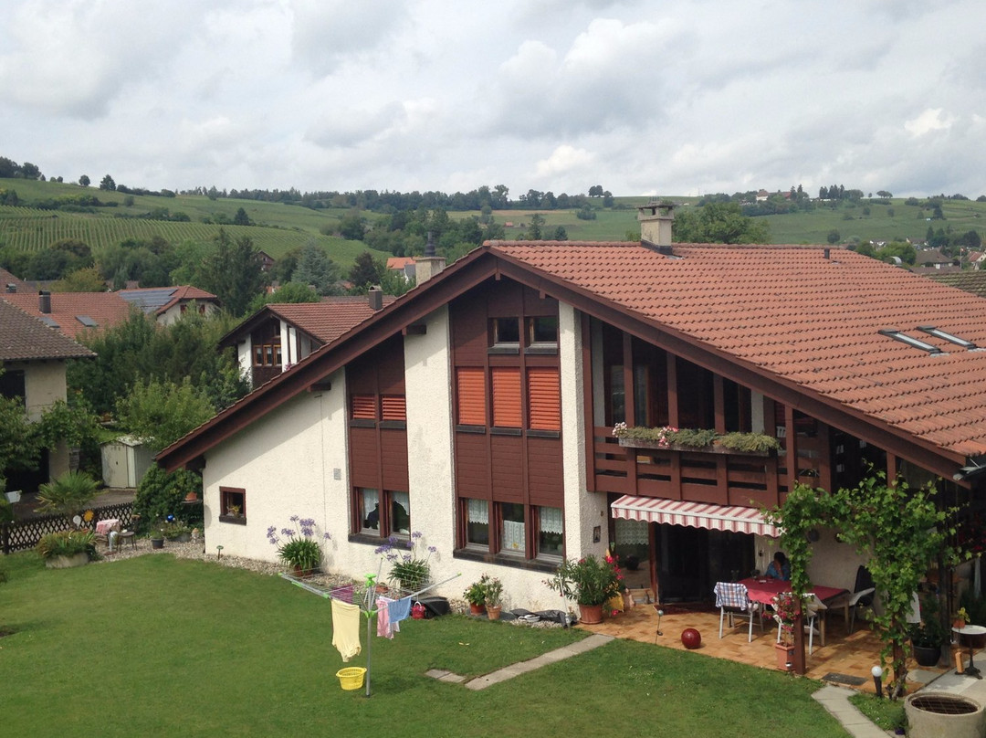 B&B Villa Hallau主图
