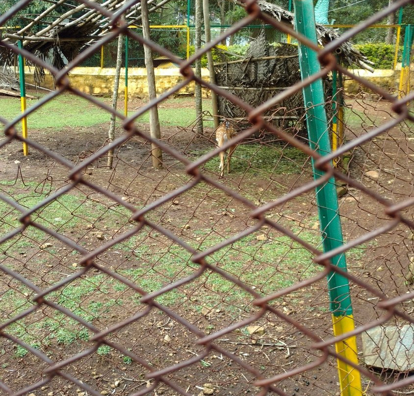 Deer Park-亚尔考德必去景点