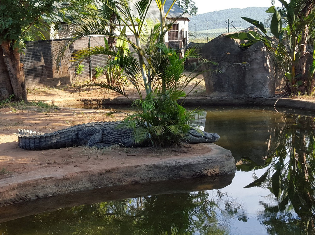 Perry's Bridge Reptile Park景点图片