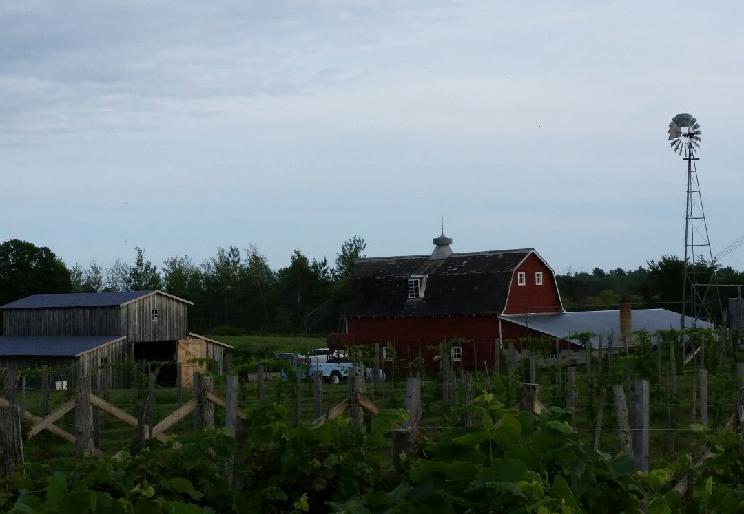 DeCorsa Vineyard & Farm Winery-Isle必去景点