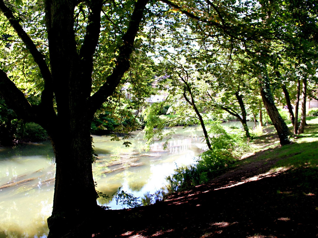 Parc de l'ile du Vieux Moulin景点图片