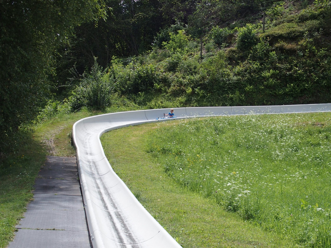 Sommerrodelbahn Moosburg景点图片