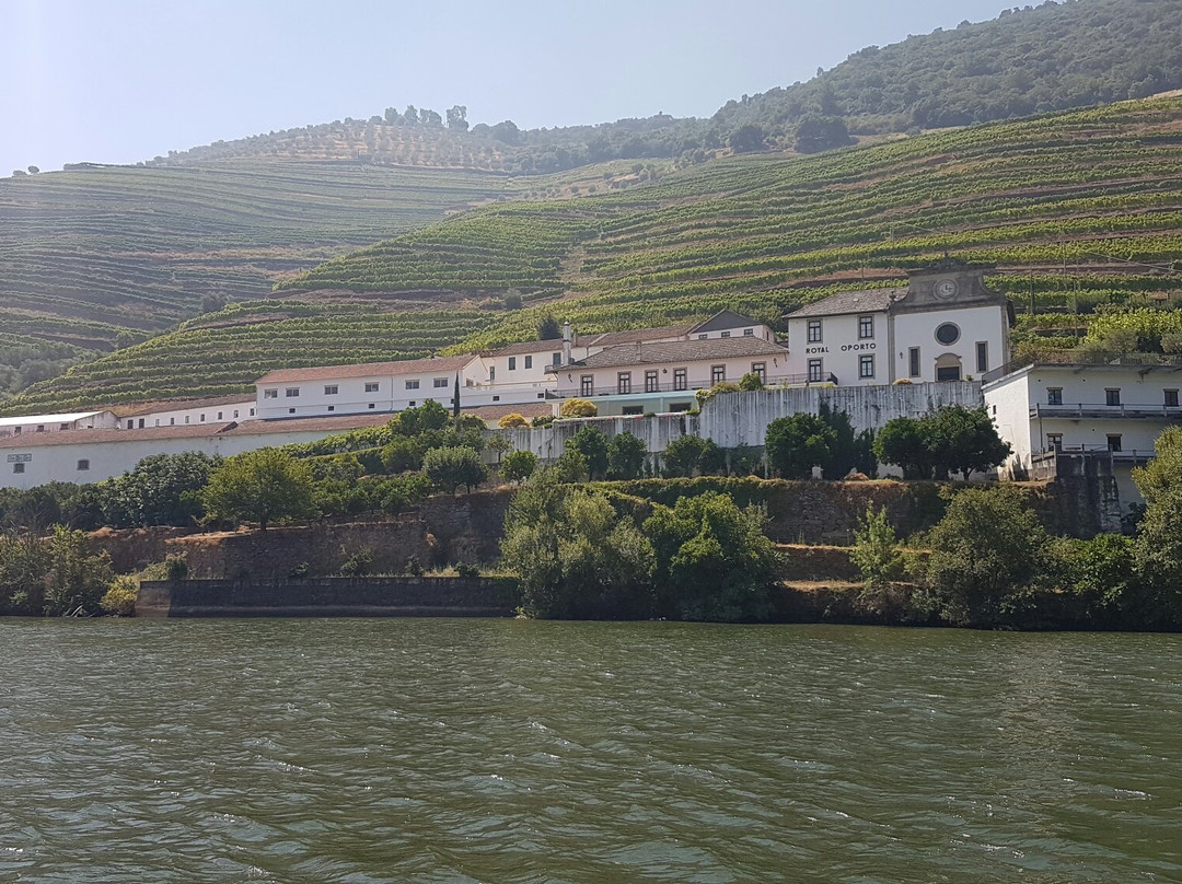 Wine Moments & Gourmet景点图片