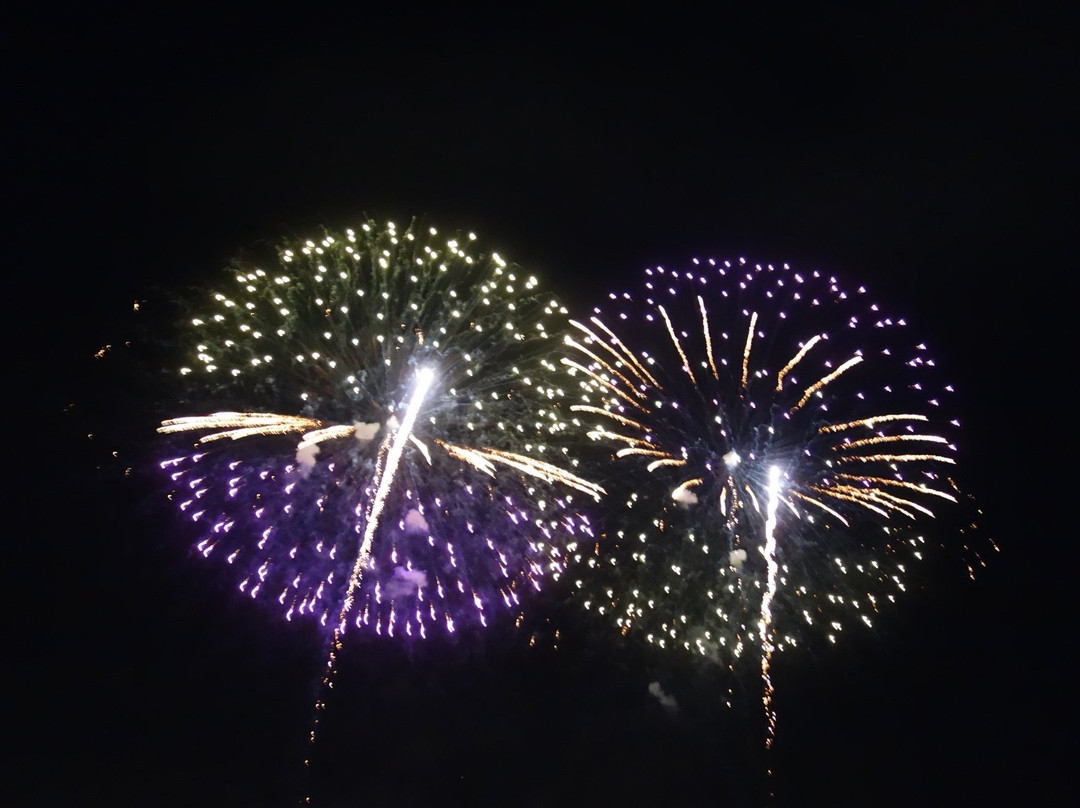 Koga Fireworks-古河市必去景点