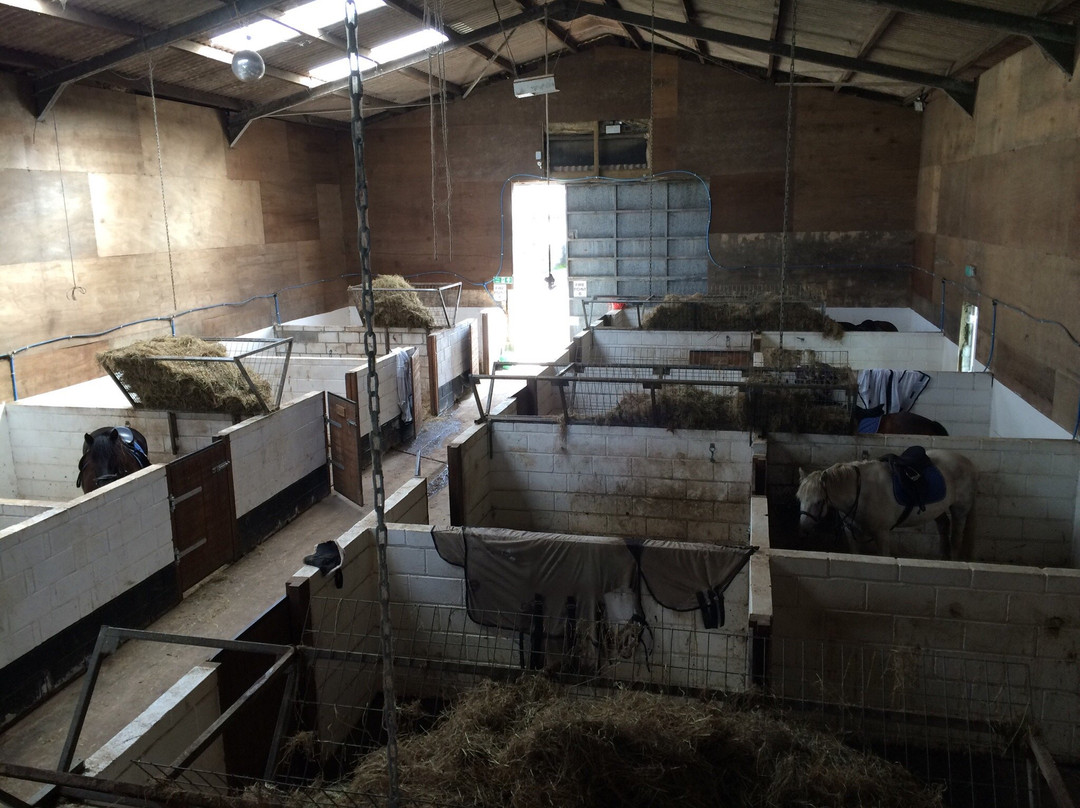 Newton Equestrian Holidays-Mullion必去景点