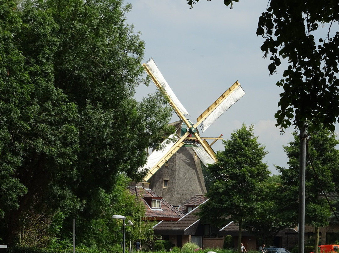 Molen de Vriendschap景点图片