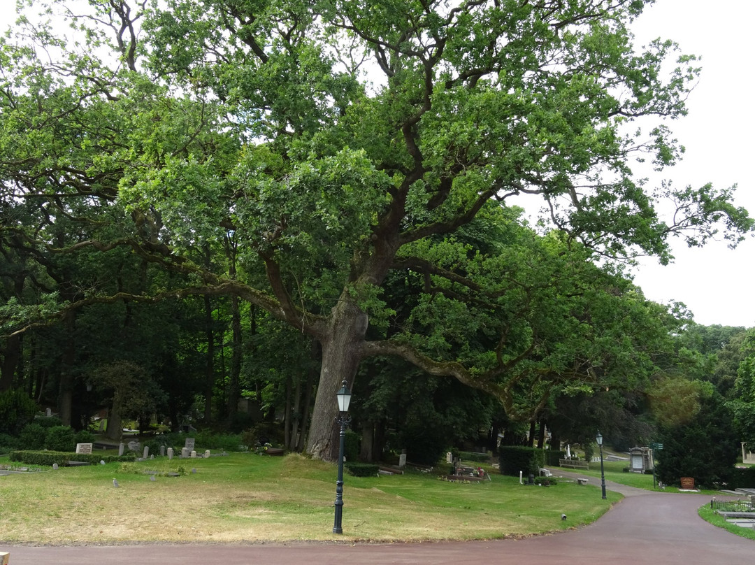 Begraafplaats en Crematorium Westerveld uit 1888景点图片