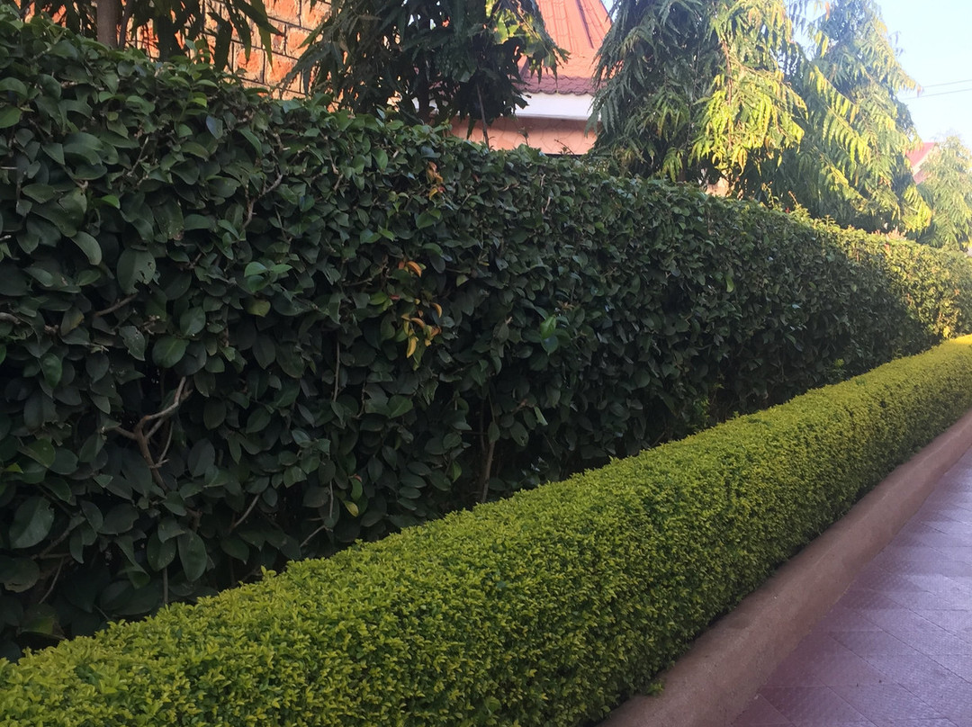 Hotel Nyakoe Kisii主图