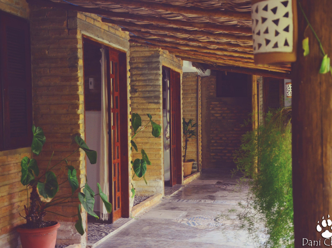 Tabuba酒店住宿-Casa Viva Guesthouse