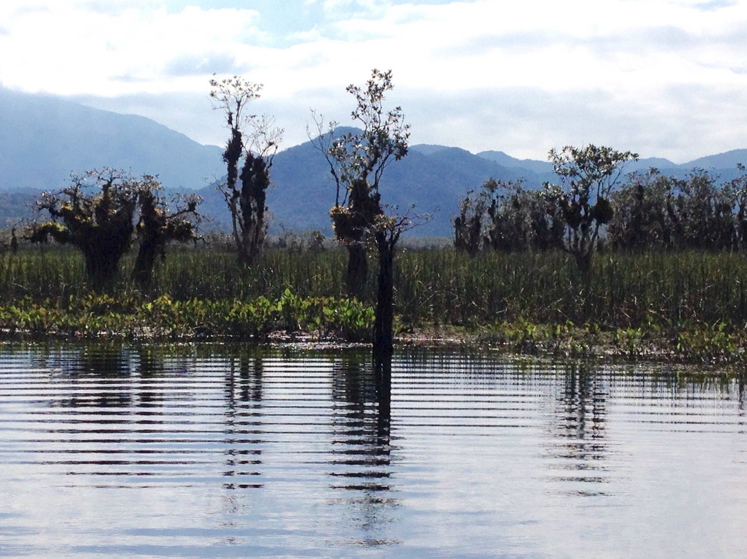 Parque Natural Municipal Lagoa do Parado-瓜拉图巴必去景点