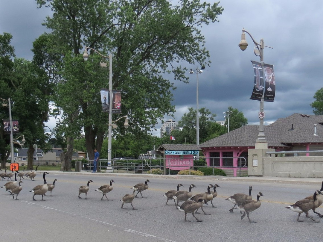 Royal City Park-贵湖必去景点