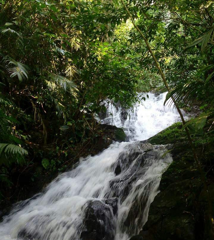 Reserva Ecologica Benito Juarez景点图片