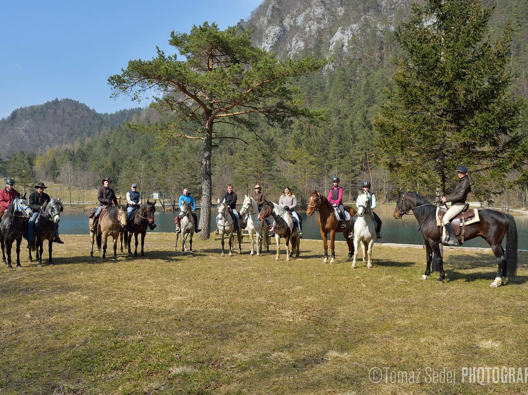 Horse Club Lesce景点图片