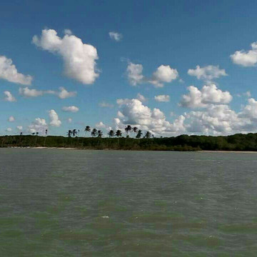 Barra Beach-Alcobaca必去景点