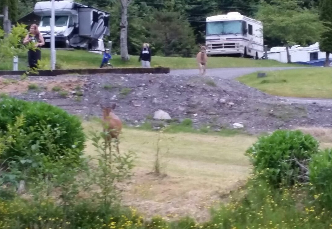 Prince Rupert RV Campground