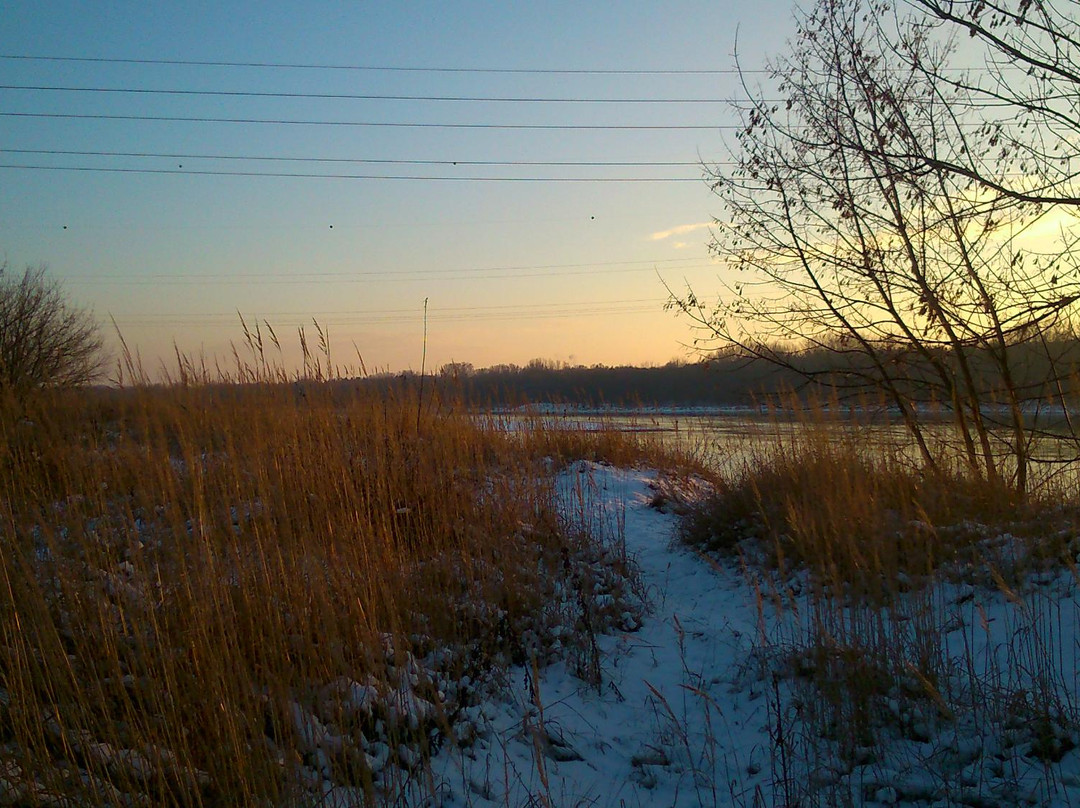 Nature Reserve Lawice Kielpinskie景点图片