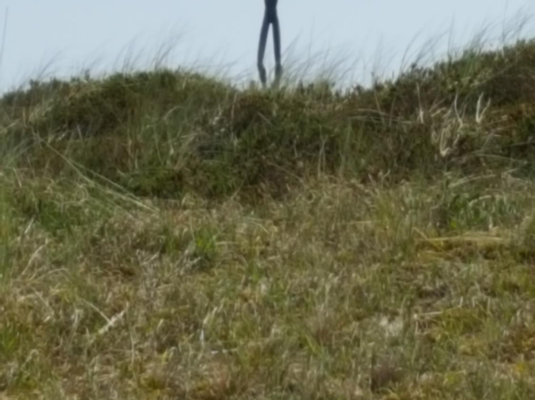 Nationalpark-Haus Wittbulten-斯匹科罗格必去景点