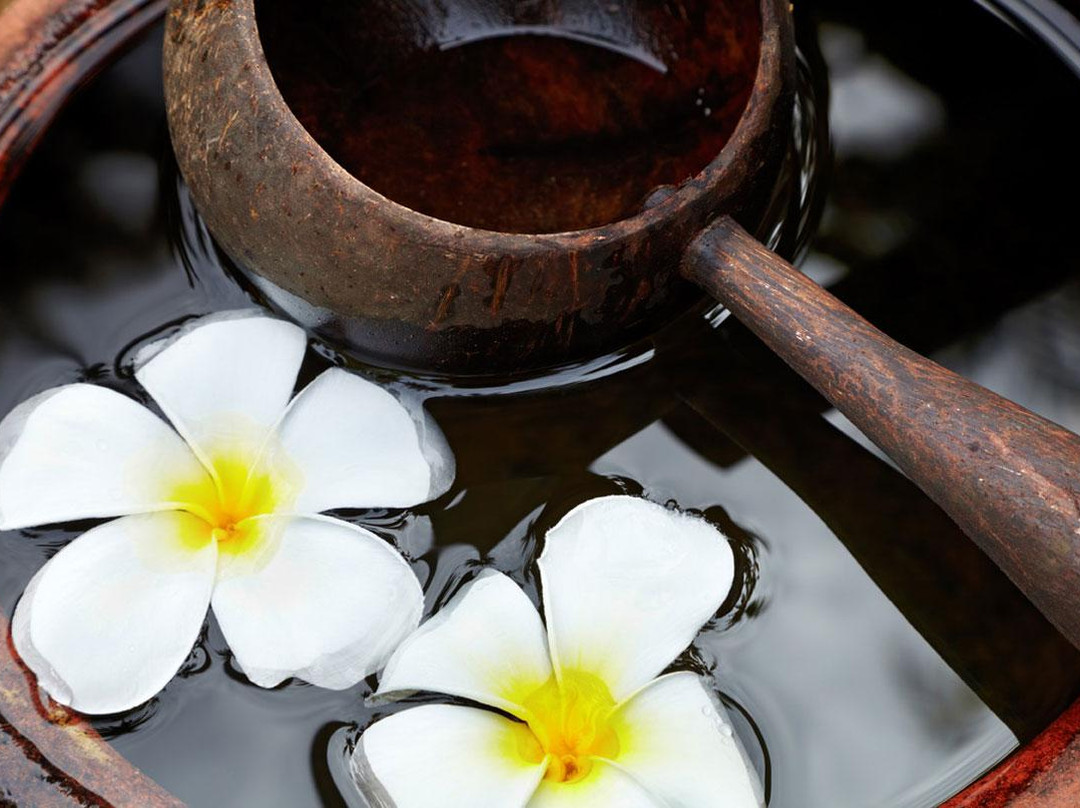 Countryside Charm Spa-会安必去景点