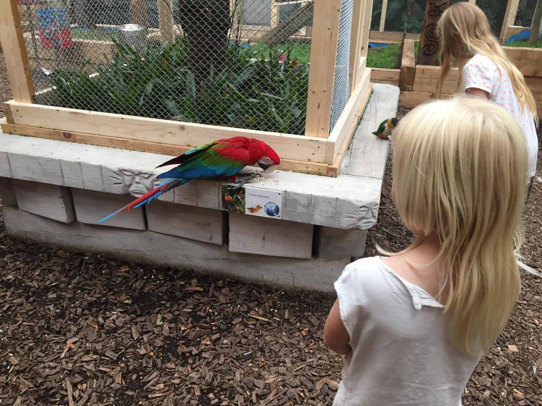 Die Welt der Schmetterlinge-Terfens必去景点