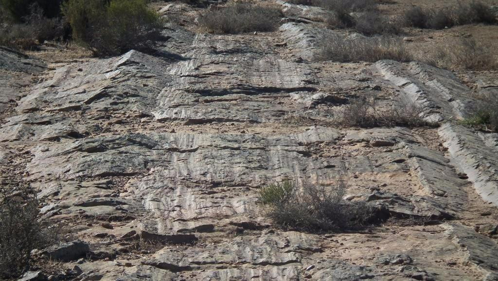 Glacial Pavement-Nieuwoudtville必去景点