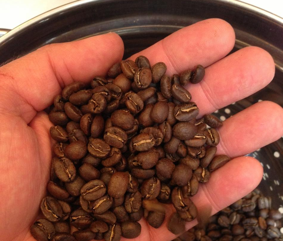 Canby Farmers Market-Canby必去景点