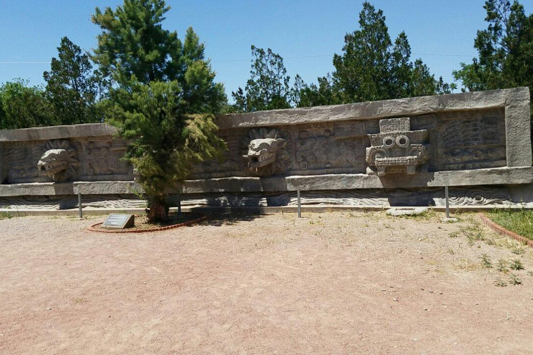 Archaeology and History Museum of El Chamizal-华瑞兹城必去景点