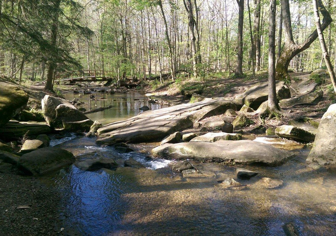 Honey Run Waterfall景点图片