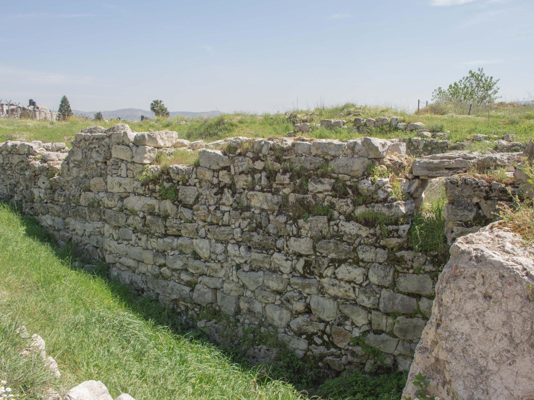 Nablus旅游景点-Tell Balata Archaeological Park