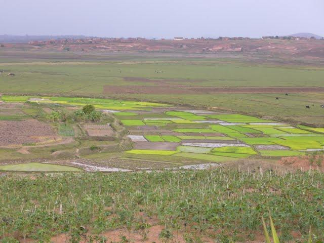 Antananarivo Province旅游攻略图片