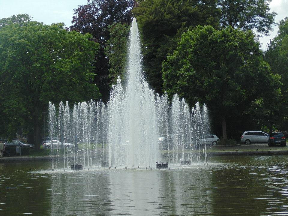 City Park景点图片