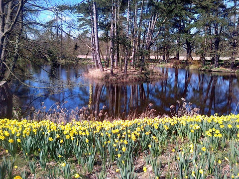 Everingham旅游攻略图片