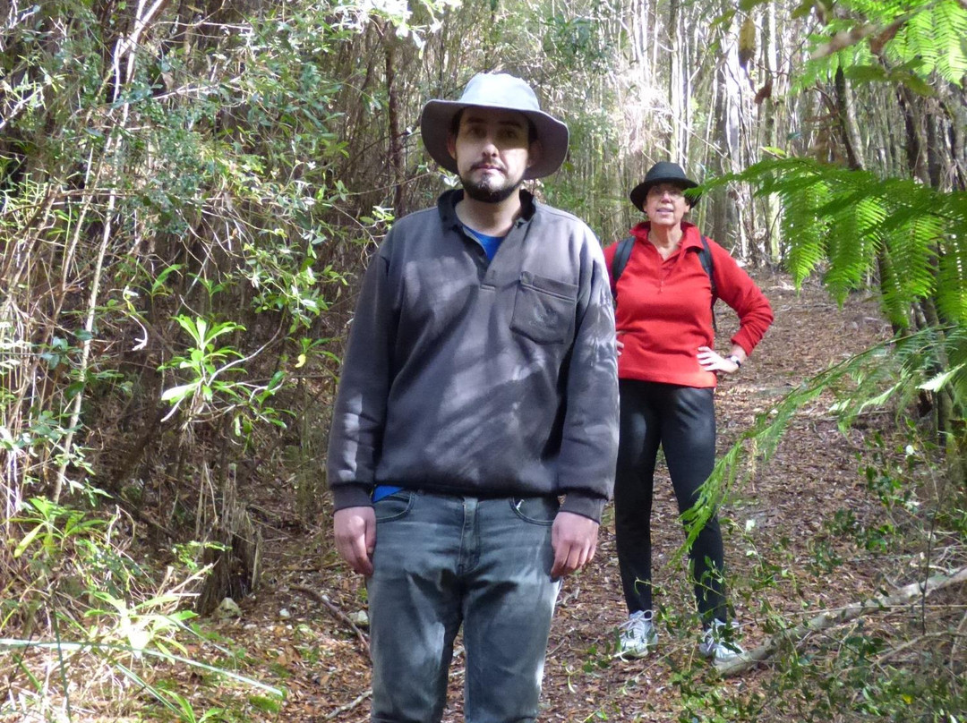 Mt Donaldson-Corinna必去景点