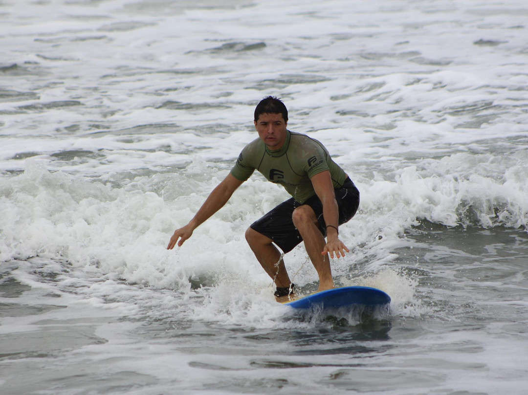 Zecão Surf School-乌巴图巴必去景点