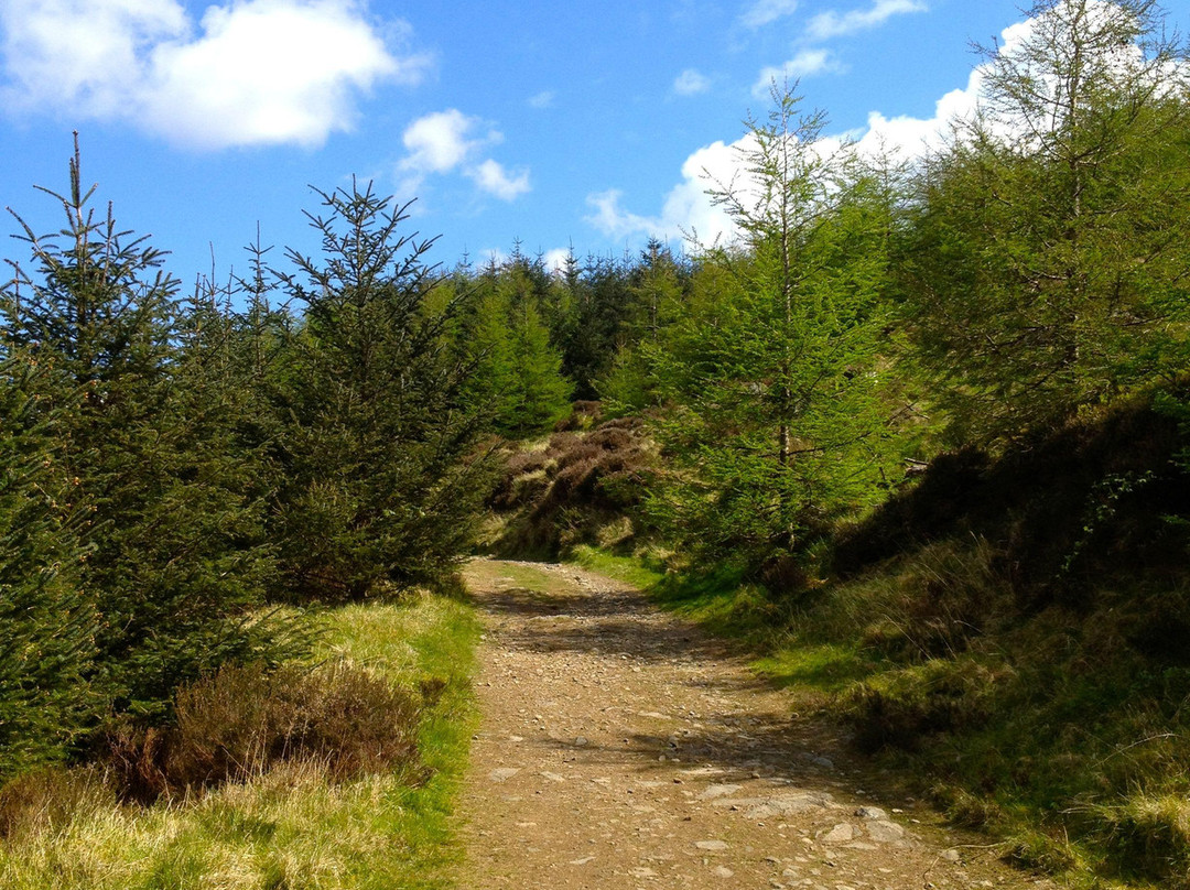 Walking Holiday Ireland景点图片