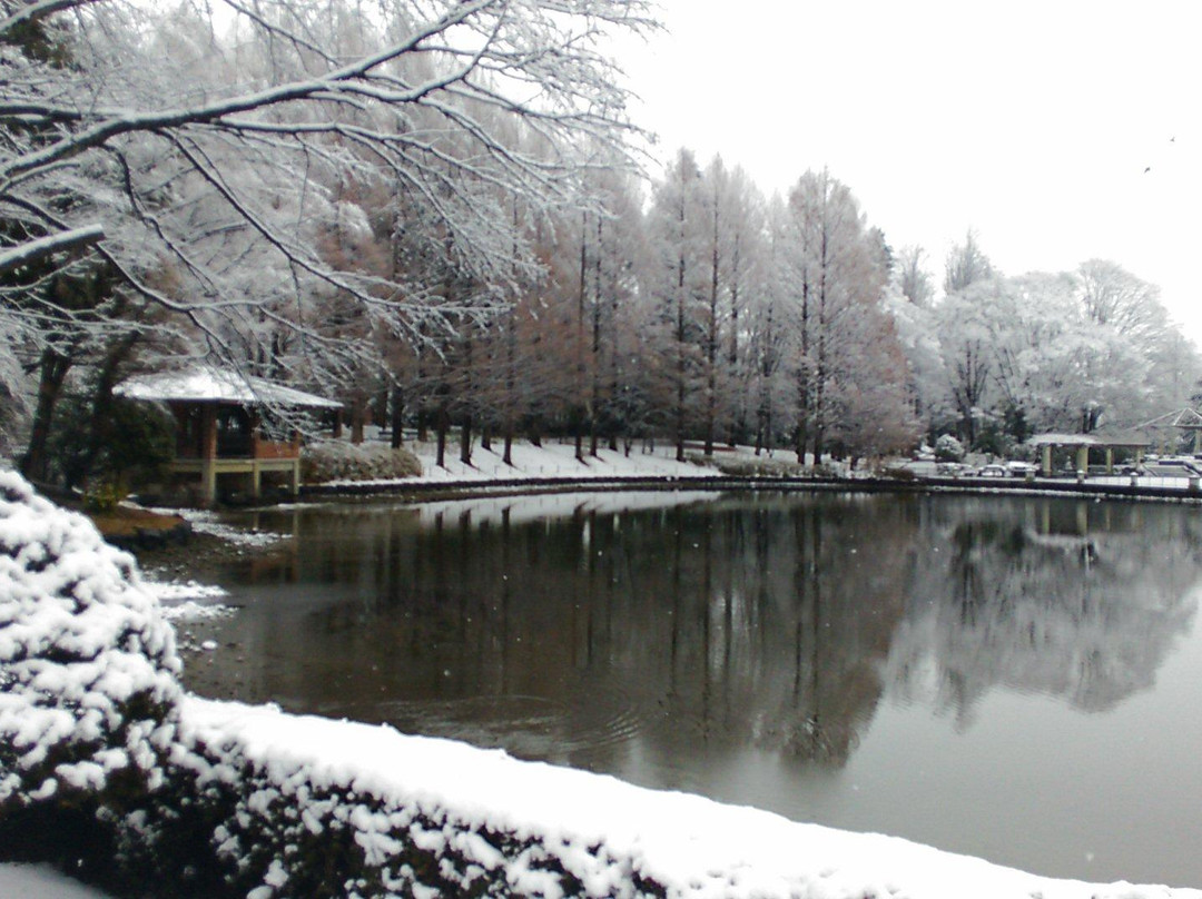 Tochigiken Chuo Park-宇都宫市必去景点