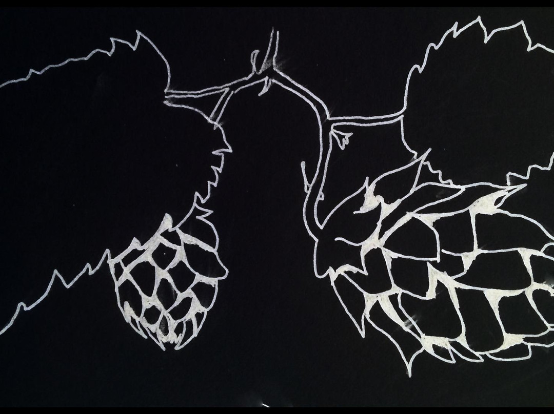 The Beer Diviner-Stephentown必去景点