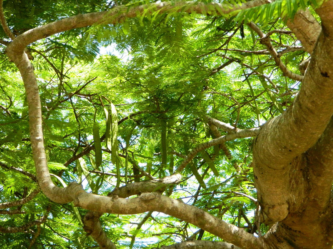 Port de Kuto-Kuto必去景点