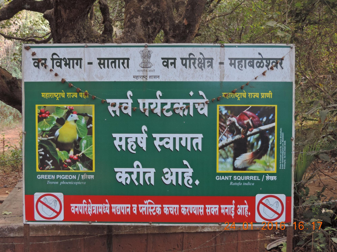 Gureghar Nature Trail景点图片