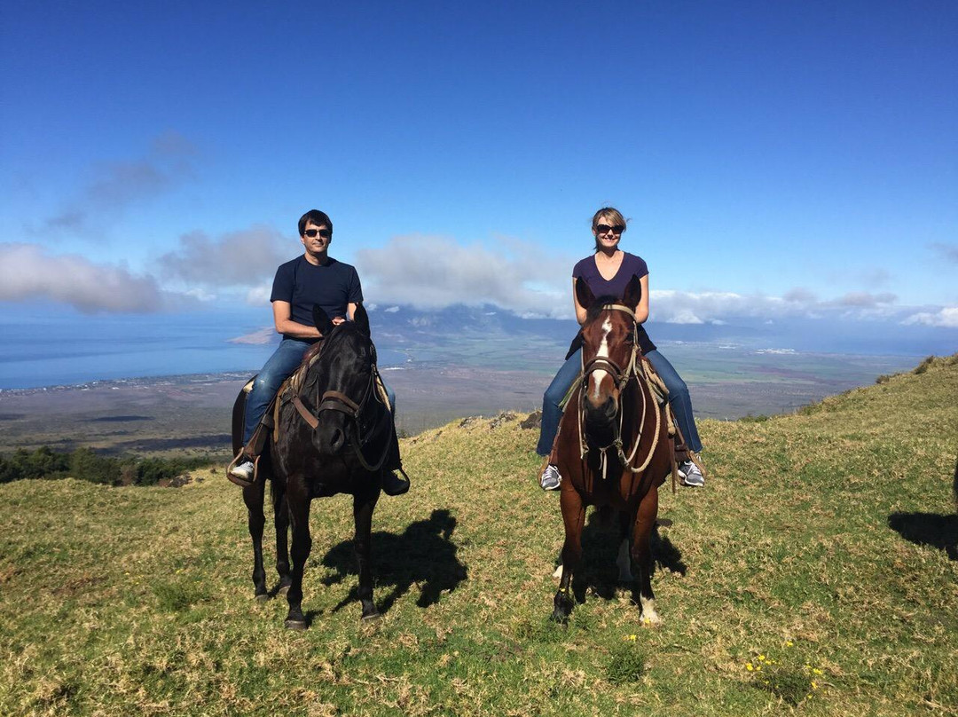 Thompson Ranch Riding Stables-库拉必去景点