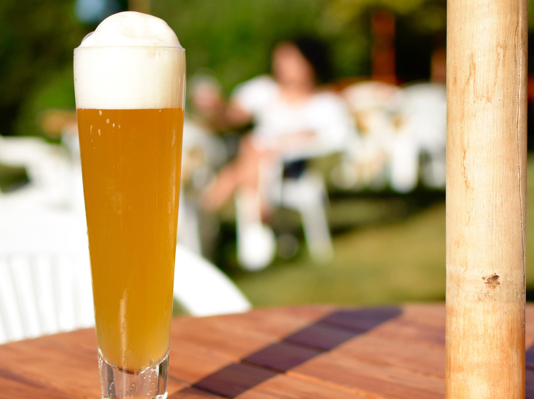 Osorno餐馆和美食-Donde Armin Cerveceria Marzen