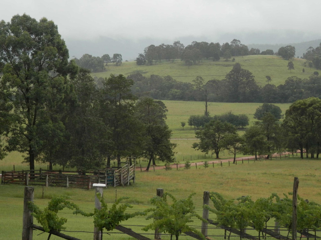 Villa d'Esta Vineyard-Dyers Crossing必去景点