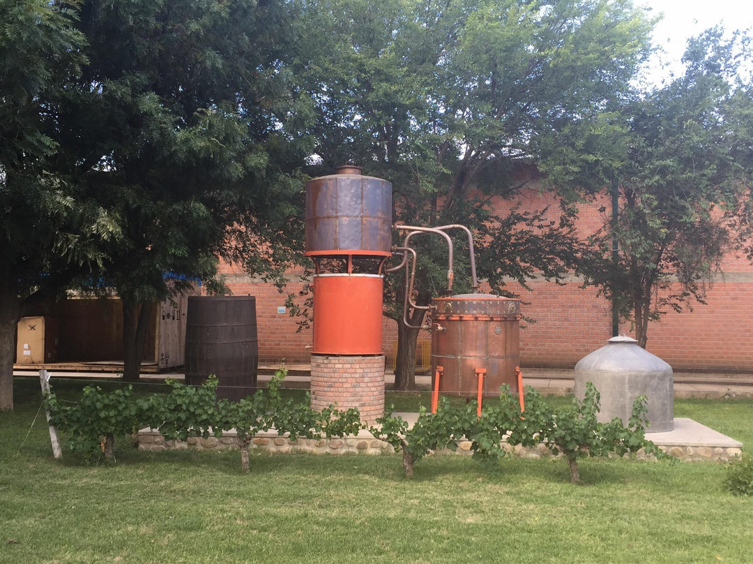 Bodega Casa Real-塔里哈必去景点