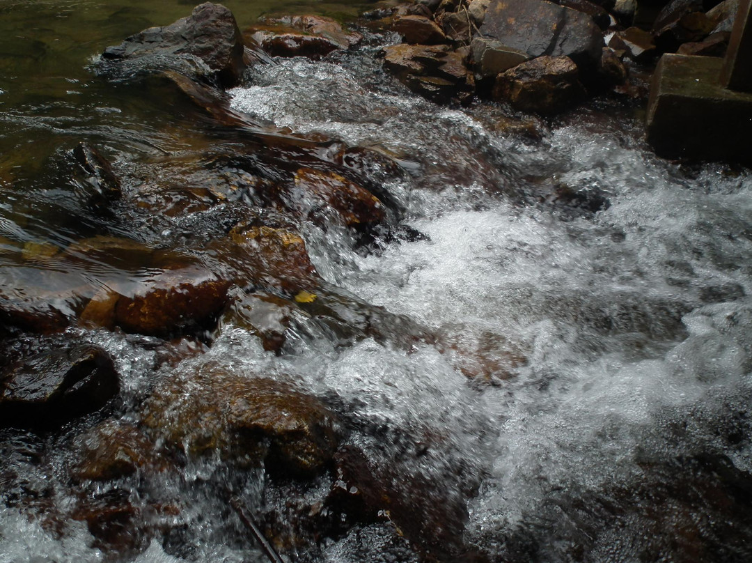 Namtok Yong National Park景点图片
