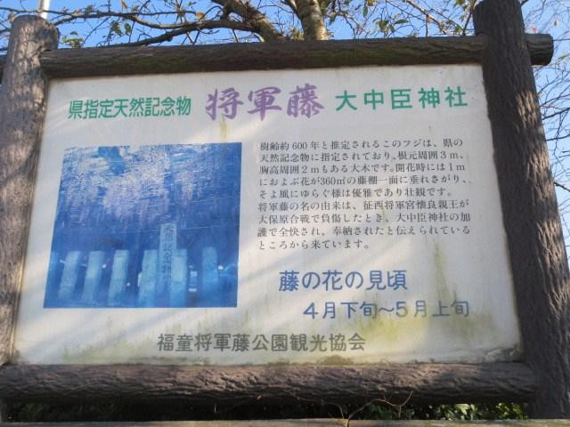 Onakatomi-Jinja Shrine-小郡市必去景点