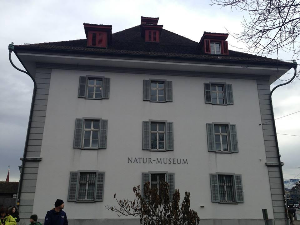 Natur-Museum Luzern-卢塞恩必去景点