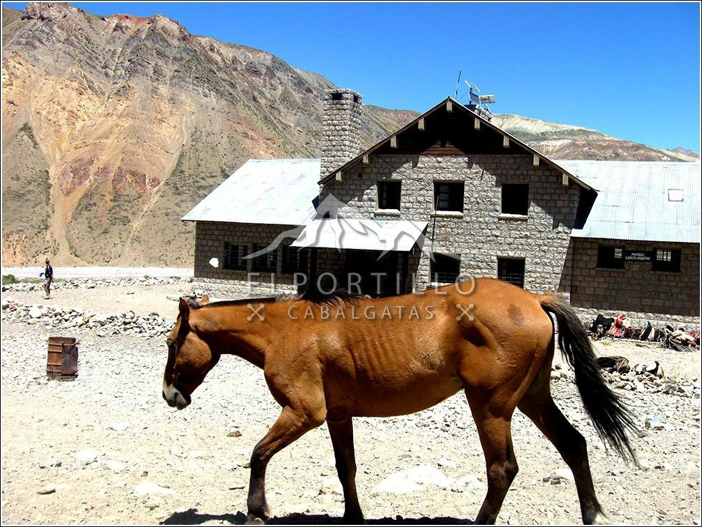 Cabalgatas El Portillo - Day Tours-Los Chacayes必去景点