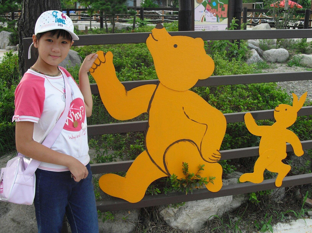 Teddy Bear Farm-束草市必去景点