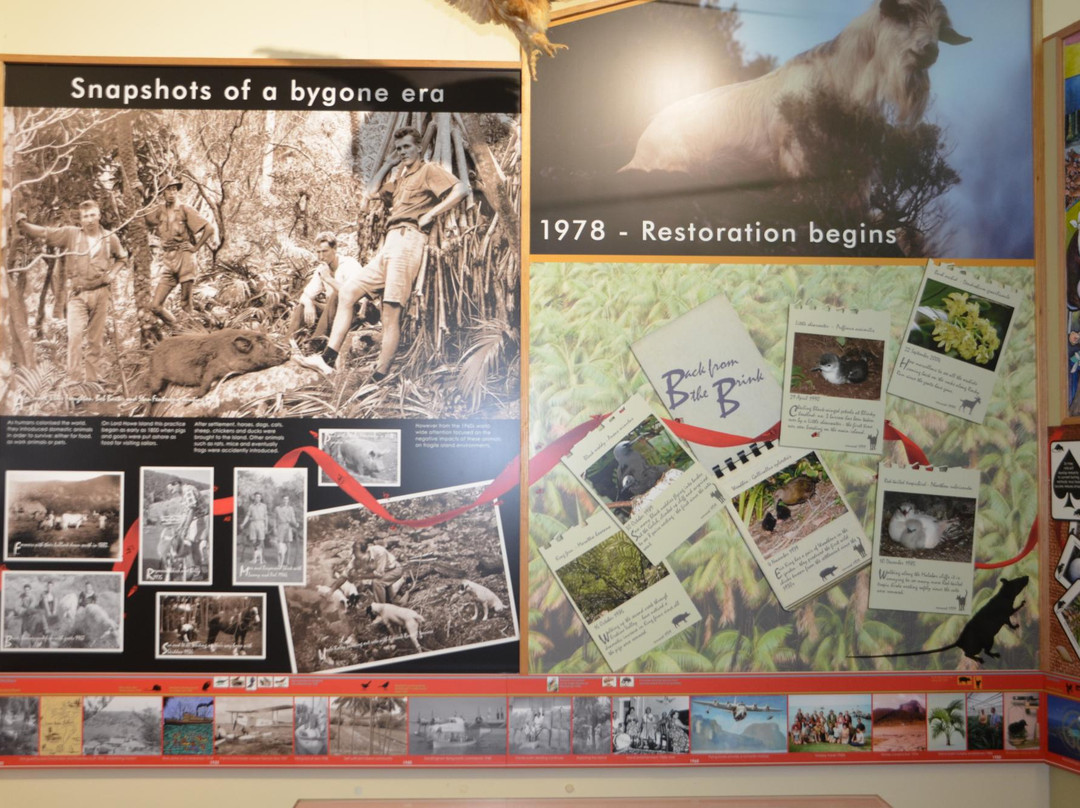 Lord Howe Island Museum-豪勋爵群岛必去景点